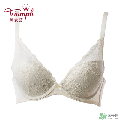 黛安芬內(nèi)衣怎么樣？黛安芬內(nèi)衣價格圖片