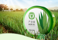 雅麗潔蘆薈膠多少錢？雅麗潔蘆薈膠好不好？