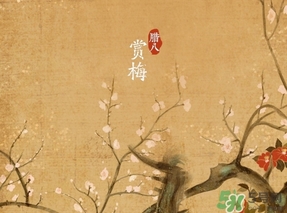 臘八節(jié)出生的女寶寶怎么取名？臘八節(jié)出生的男寶寶怎么取名？