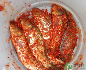 腌魚放多少鹽？腌魚放鹽的比例