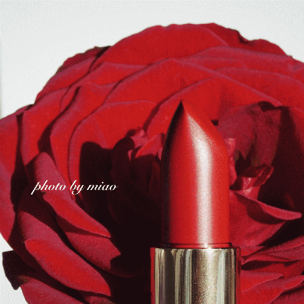 蘭蔻菁純絲絨唇膏290多少錢(qián)？蘭蔻菁純絲絨唇膏290專柜價(jià)格