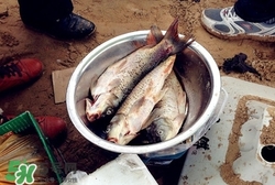 腌魚臭了能吃嗎?腌魚臭了怎么做好吃 腌魚臭了能吃嗎?腌魚臭了怎么做好吃