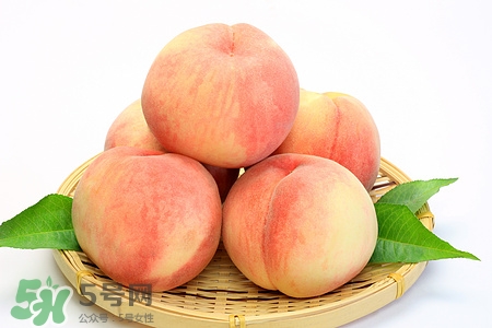 桃子可以空腹吃嗎?空腹吃桃子會怎么樣 桃子可以空腹吃嗎?空腹吃桃子會怎么樣