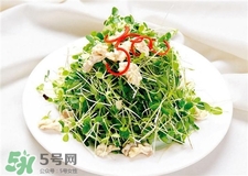 芽苗菜的營(yíng)養(yǎng)價(jià)值 芽苗菜的功效與作用