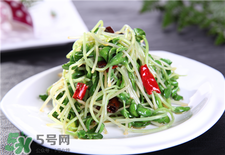 芽苗菜的營(yíng)養(yǎng)價(jià)值 芽苗菜的功效與作用