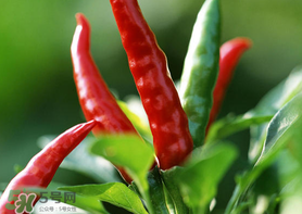 新鮮辣椒怎么保存？新鮮辣椒怎么保存更久？