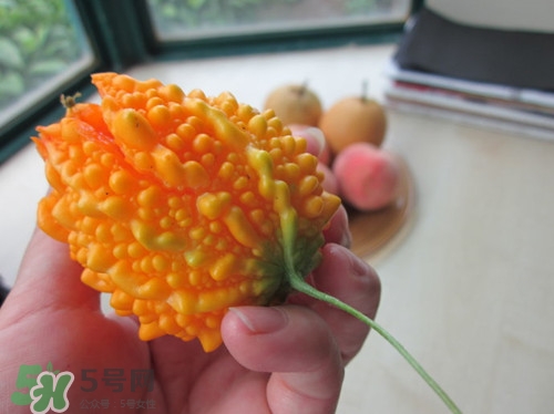 金鈴子的皮能吃嗎?金鈴子的皮有什么功效作用 金鈴子的皮能吃嗎?金鈴子的皮有什么功效作用