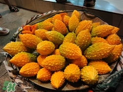 金鈴子的皮能吃嗎?金鈴子的皮有什么功效作用 金鈴子的皮能吃嗎?金鈴子的皮有什么功效作用