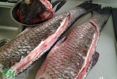 新鮮魚怎么腌制咸魚塊？咸魚塊怎么腌制