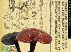 靈芝粉怎么吃最有效果?靈芝粉的功效與作用 靈芝粉怎么吃最有效果?靈芝粉的功效與作用