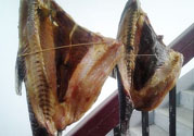 新鮮魚(yú)怎么腌制咸魚(yú)塊？咸魚(yú)塊怎么腌制