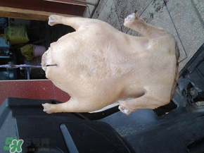 腌鴨子要腌多長(zhǎng)時(shí)間？腌鴨子需要多長(zhǎng)時(shí)間？