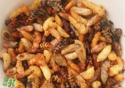 蜂蛹怎么吃最有營養(yǎng)?蜂蛹的功效與作用 蜂蛹怎么吃最有營養(yǎng)?蜂蛹的功效與作用