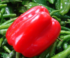 辣椒變紅能吃嗎？辣椒為什么會變紅？
