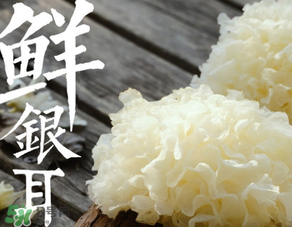 新鮮銀耳有毒嗎？新鮮銀耳怎么去毒？