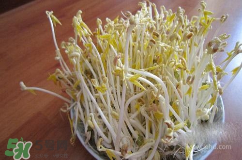 豆芽糖尿病可以吃嗎？糖尿病吃豆芽有什么好處？