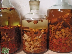 黨參可以泡酒嗎?黨參泡酒的功效與作用 黨參可以泡酒嗎?黨參泡酒的功效與作用