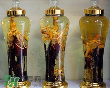 黨參可以泡酒嗎?黨參泡酒的功效與作用 黨參可以泡酒嗎?黨參泡酒的功效與作用