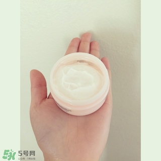 the body shop維e晚霜怎么用？美體小鋪維e晚霜使用方法