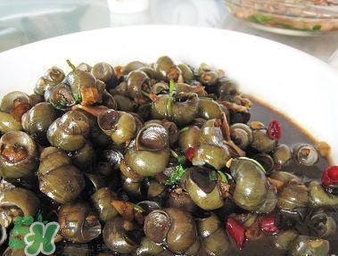 糖尿病人可以吃田螺嗎?吃田螺好嗎 糖尿病人可以吃田螺嗎?吃田螺好嗎