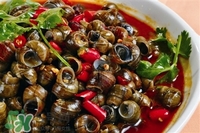 糖尿病人可以吃田螺嗎?吃田螺好嗎 糖尿病人可以吃田螺嗎?吃田螺好嗎