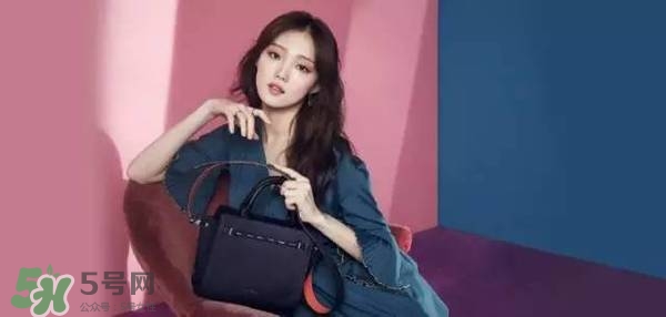 李圣經(jīng)的包包什么牌子？李圣經(jīng)包包同款