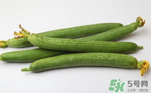 絲瓜可以催乳嗎?催乳功效好嗎 絲瓜可以催乳嗎?催乳功效好嗎