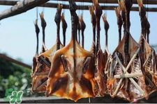 臘鴨腌制好后要曬多久？臘鴨要曬多長(zhǎng)時(shí)間可以吃？