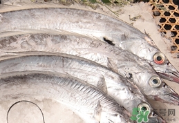 帶魚不能和什么一起吃?帶魚不能和什么同吃? 帶魚不能和什么一起吃?帶魚不能和什么同吃?