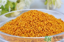 蜂花粉的營養(yǎng)價(jià)值 蜂花粉的功效與作用 蜂花粉的營養(yǎng)價(jià)值 蜂花粉的功效與作用