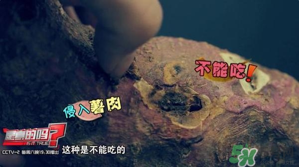 紅薯有黑斑能吃么 地瓜有黑點(diǎn)可以吃嗎 紅薯有黑斑能吃么 地瓜有黑點(diǎn)可以吃嗎