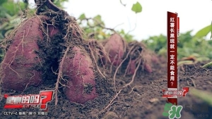 紅薯有黑斑能吃么 地瓜有黑點(diǎn)可以吃嗎 紅薯有黑斑能吃么 地瓜有黑點(diǎn)可以吃嗎