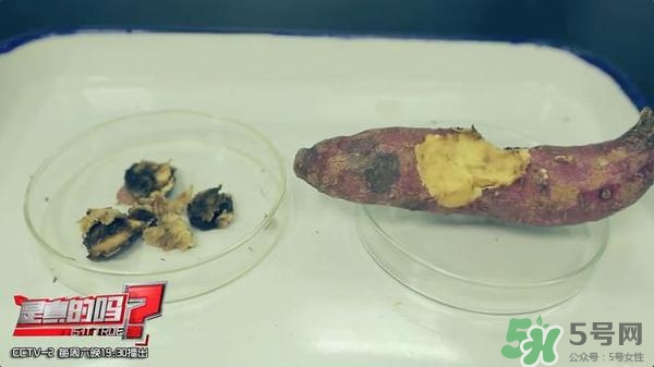 紅薯有黑斑能吃么 地瓜有黑點(diǎn)可以吃嗎 紅薯有黑斑能吃么 地瓜有黑點(diǎn)可以吃嗎