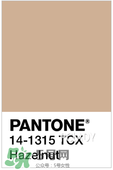 2017年指甲流行什么顏色？2017年流行什么指甲？