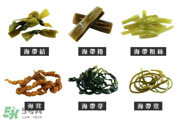 海帶上的白霜是什么？海帶上面有白色的東西那是什么