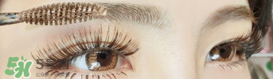 染眉膏怎么用？染眉膏使用方法圖解