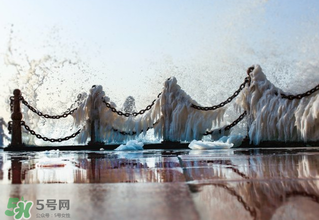 2017年?三九天從什么時(shí)候開(kāi)始？2017年三九天時(shí)間表