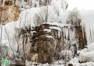2017年?三九天從什么時(shí)候開(kāi)始？2017年三九天時(shí)間表
