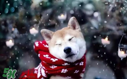 2017年冷空氣什么時候？2017年冷空氣最新消息