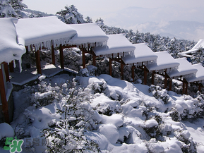 2017年第一場雪什么時候？2017年什么時候下雪？