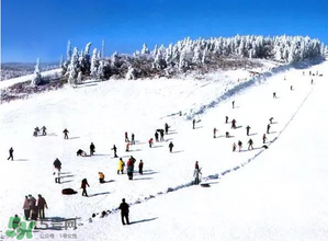 2017年三九四九是什么時候？2017年四九是哪天？