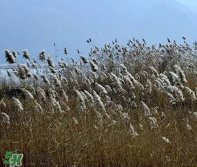 五九是什么時(shí)候？2017年五九是哪一天？