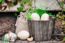 腎病能吃臘八蒜嗎?腎病吃臘八蒜好嗎 腎病能吃臘八蒜嗎?腎病吃臘八蒜好嗎