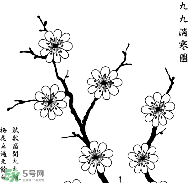 數(shù)九天什么時(shí)候最冷？數(shù)九天幾九最冷？