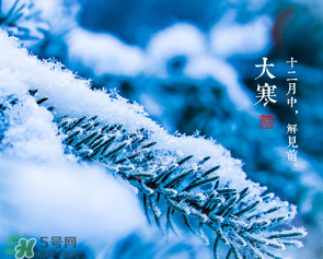 大寒是幾九？2017年大寒是幾九？