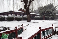 2017年過(guò)年會(huì)下雪嗎？2017年過(guò)年天氣情況