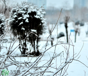 小寒和大寒哪個(gè)冷？小寒大寒什么意思？