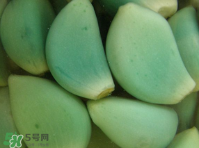 臘八醋里的蒜能吃嗎？臘八醋里的蒜好吃嗎？