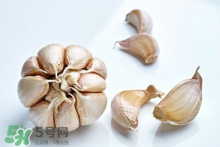 2017過年大蒜會漲價嗎？2017年春節(jié)大蒜價格預(yù)測