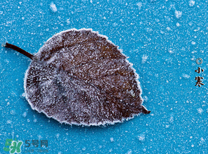 小寒是幾九？2017年小寒是幾九？